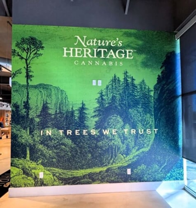 Window & Wall Graphics Photo
